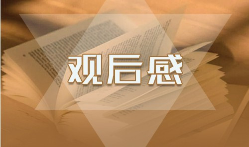 观看2020《时代新人说对话战役英雄》观后感作文【5篇】