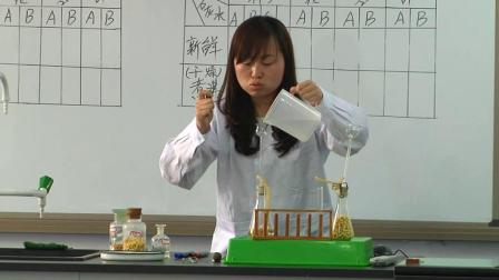 《第二节 绿色植物的呼吸》教学视频实录-北京版初中生物七年级下册