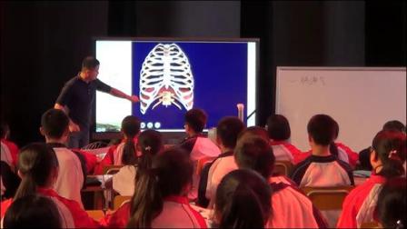 《3.肺的通气》课堂教学视频实录-北京版初中生物七年级下册