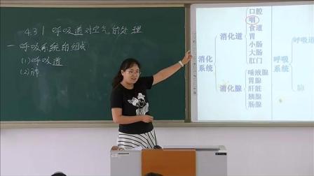 《3.血管》优质课评比视频-北京版初中生物七年级下册