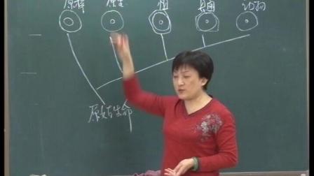 《第七节 病毒》教学视频实录-北京版初中生物八年级下册