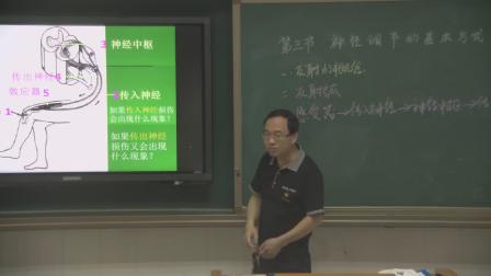 《第二节 神经调节的基本方式》课堂教学视频实录-北京版初中生物七年级下册