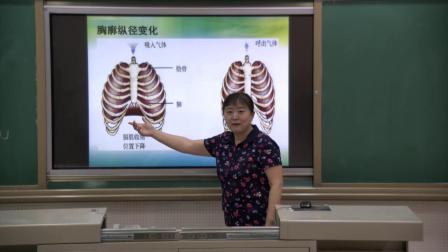 《3.肺的通气》优质课教学视频实录-北京版初中生物七年级下册