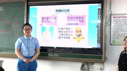 《第一节 神经系统的组成》优质课教学视频实录-北京版初中生物七年级下册