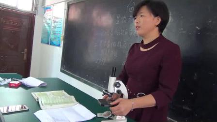 《第一节 细胞》课堂教学视频-北京版初中生物七年级上册