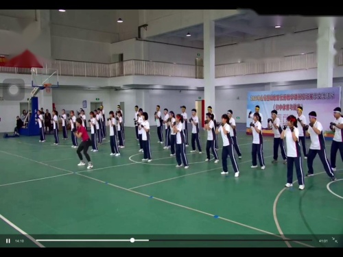 《武术拓展-散打三拳组合》示范课教学视频-人教版八年级体育-江西省优秀课例展示活动