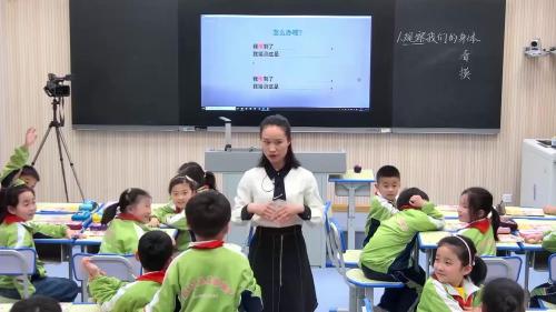 《观察一种动物》教科版一年级下册 获奖教学视频-湖南省小学科学竞赛活动