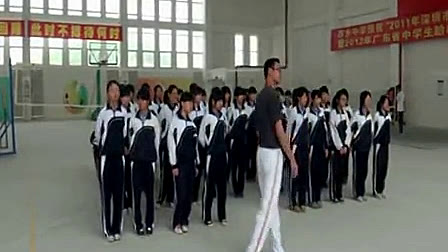 《接力跑中“下压式”传接棒技术》高中体育优质课视频-韩建华