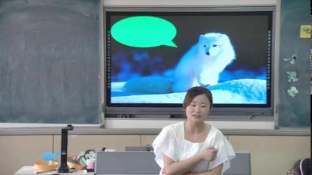 《2. 动物怎样过冬》课堂教学视频实录-大象2001版小学科学三年级上册
