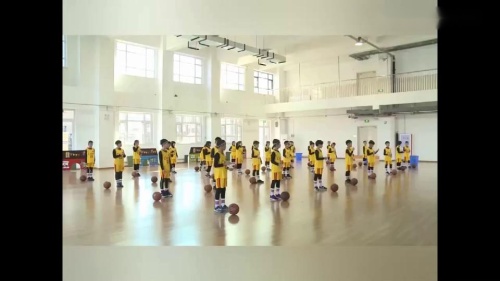 《小篮球原地运球》参赛课教学视频