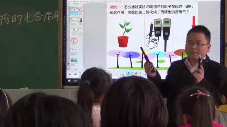 《4 植物和我们》课堂教学视频实录-苏教2001版小学科学三年级下册