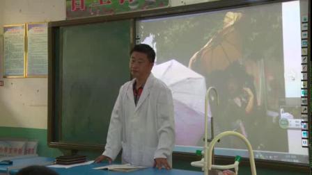 《1 寻找雨具的缺点》课堂教学视频-大象2001版小学科学六年级下册
