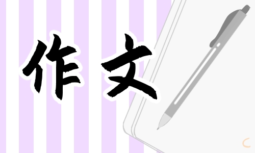 学雷锋小学生优秀作文300字