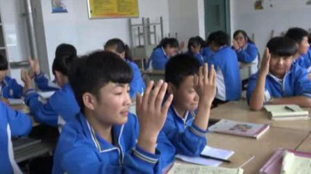 《分式的基本性质》课堂教学视频-华东师大版初中数学八年级下册