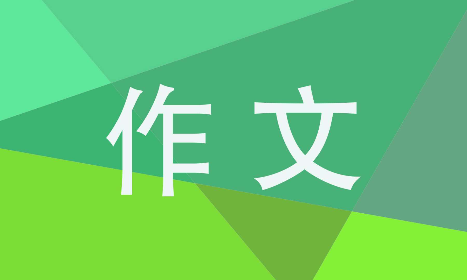 夏天的作文800字7篇