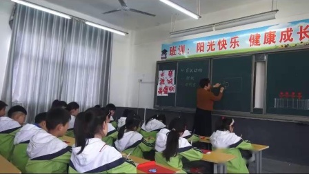 《3. 小老虎》课堂教学视频-湘美版小学美术二年级下册