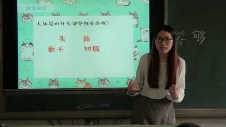 《22. 剪纸动物》优质课课堂展示视频-湘美版小学美术二年级下册