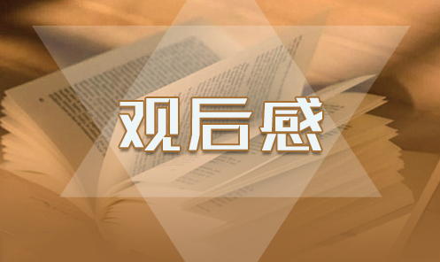 关于“你好，少代会”观后感心得作文6篇