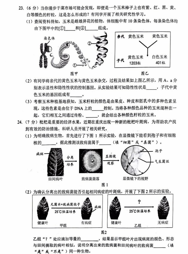 2024年重庆中考生物真题A卷试题