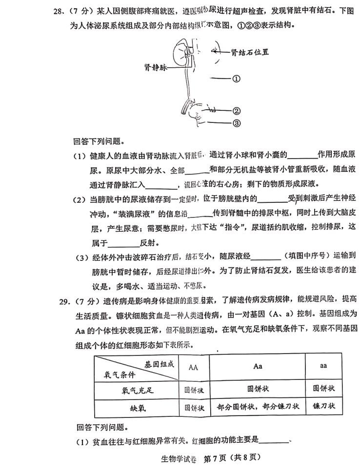 2024河北省中考生物真题及答案