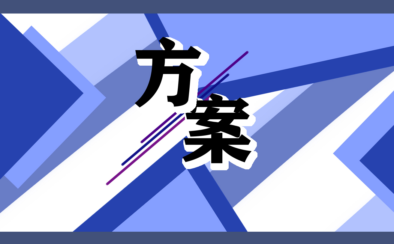 2022年最新网络市场营销策划书方案范文