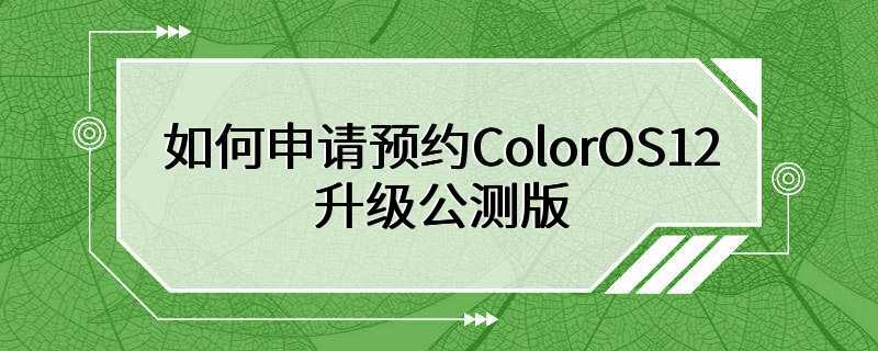 如何申请预约ColorOS12升级公测版