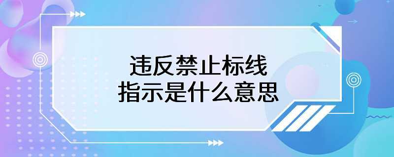 违反禁止标线指示是什么意思