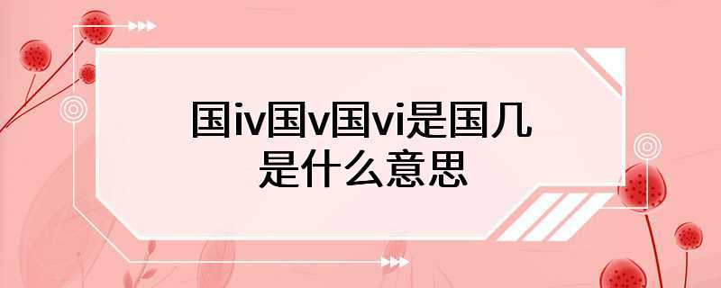 国iv国v国vi是国几是什么意思