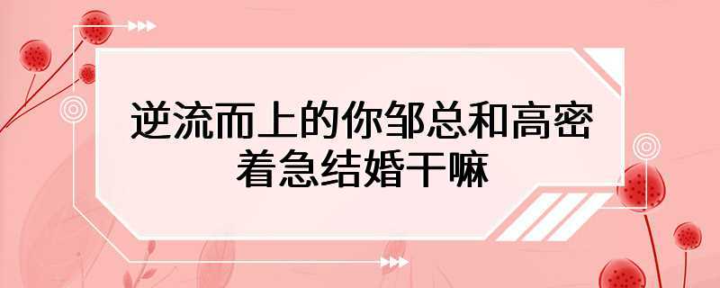 逆流而上的你邹总和高密着急结婚干嘛