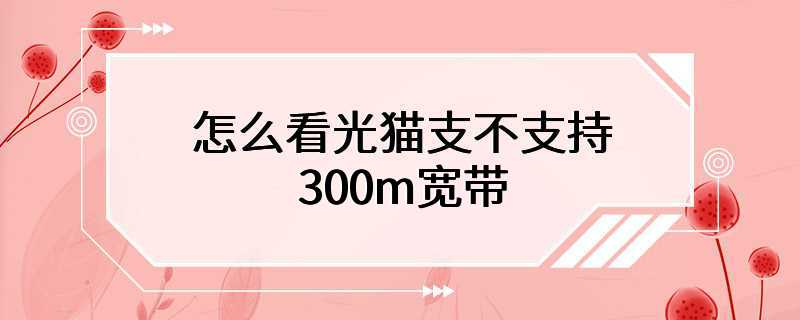 怎么看光猫支不支持300m宽带