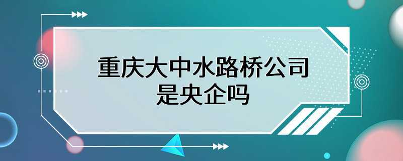 重庆大中水路桥公司是央企吗