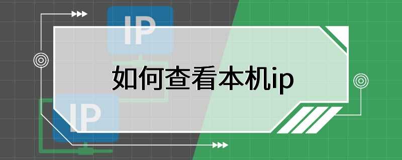 如何查看本机ip