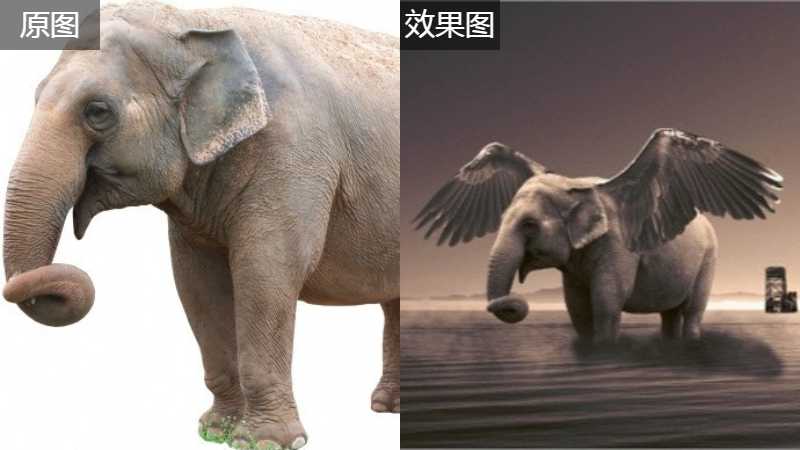 photoshop合成教程带翅膀的大象