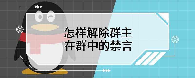 怎样解除群主在群中的禁言