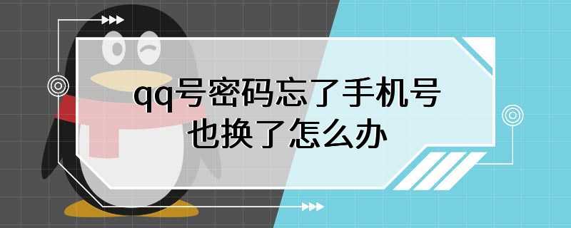 qq号密码忘了手机号也换了怎么办