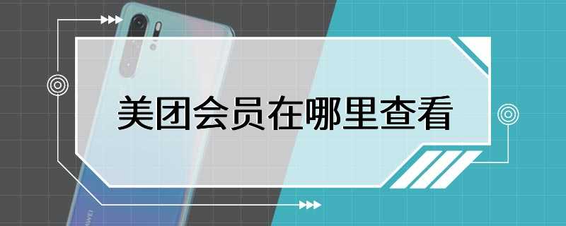 美团会员在哪里查看